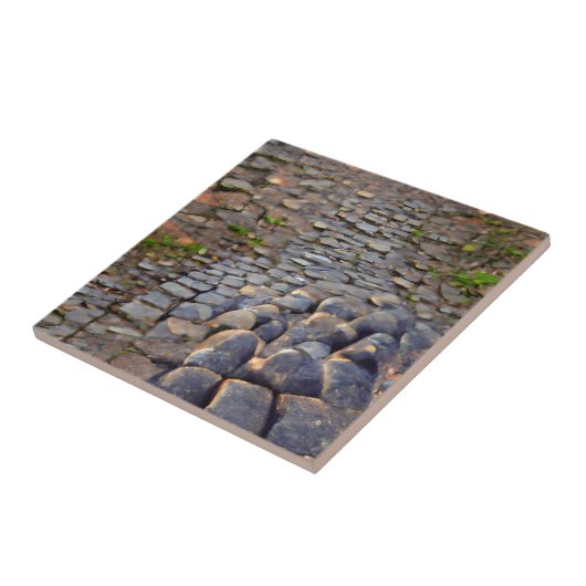 Carreau Cobblestones herbe grise dans les fissures art gra (Côté)
