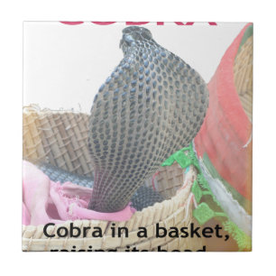 Carreau Cobra dans le panier Imprimer