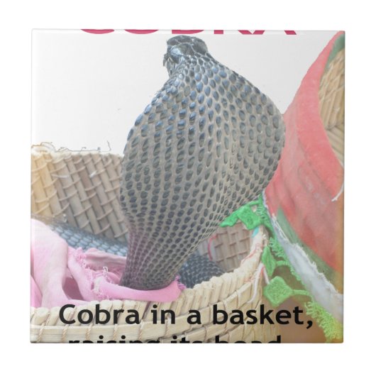 Carreau Cobra dans le panier Imprimer (Devant)