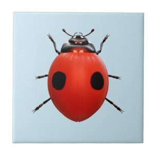 Carreau Coccinelle Chanceuse