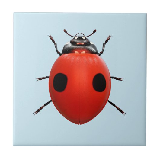 Carreau Coccinelle Chanceuse (Devant)