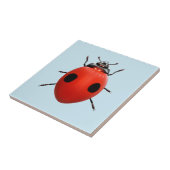 Carreau Coccinelle Chanceuse (Côté)