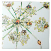 Carreau coccinelles (Devant)