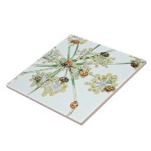 Carreau coccinelles (Côté)