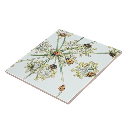 Carreau coccinelles (Côté)