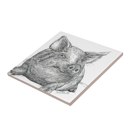 Carreau Cochon (Côté)