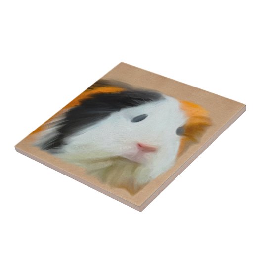 Carreau Cochon de Guinée coloré (Côté)