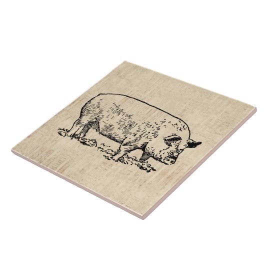 Carreau Cochon illustré avec Arrière - plan de script Vint (Côté)