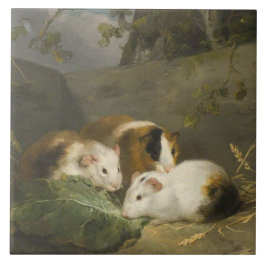 Carreau Cochons d'Inde (par George Morland) (Devant)