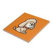 Carreau Cockapoo (Côté)