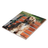 Carreau Cocker (Côté)