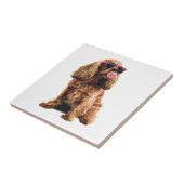 Carreau Cocker Spaniel (Côté)