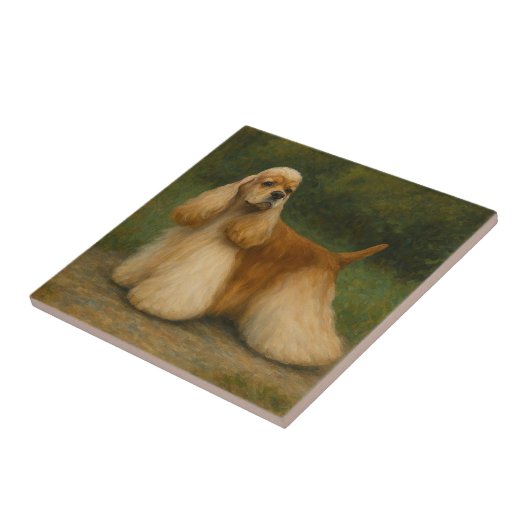 Carreau Cocker Spaniel (Côté)