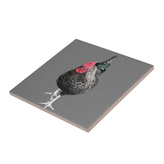 Carreau Cockerel Black Strutt No 3 (Côté)