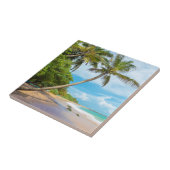 Carreau Cocotier, plage | Sri Lanka de Mirissa (Côté)