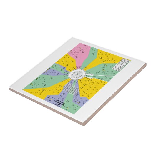 Carreau Code génétique pour des acides aminés (roue de (Côté)