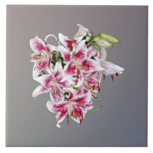 Carreau Coeur Avec Stargazer Lys