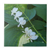 Carreau Cœur saignant blanc floral (Devant)