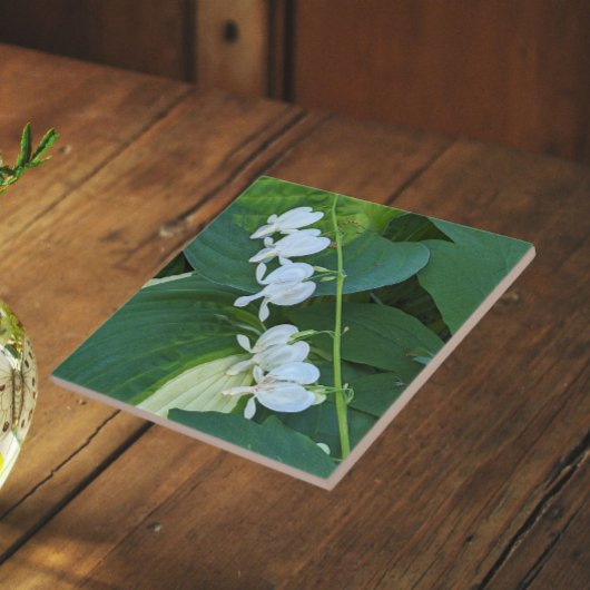 Carreau Cœur saignant blanc floral