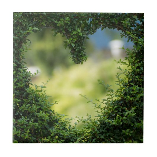 Carreau Coeur Topiaire Vert (Devant)