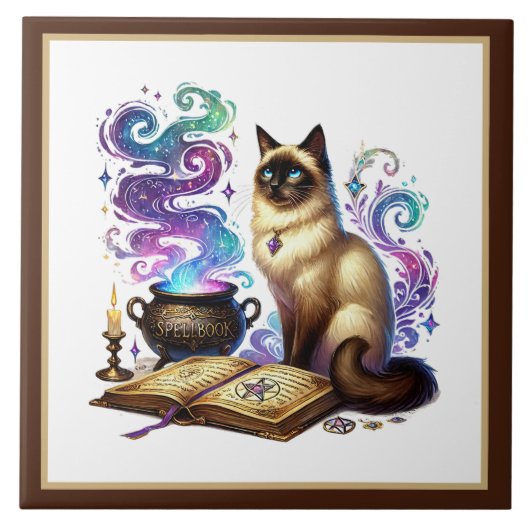 Carreau Coin de lecture mignon pour chat bibliothèque amat (Devant)