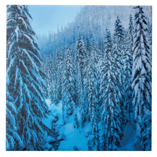 Carreau Col de Snoqualmie, État de Washington. (Devant)