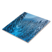 Carreau Col de Snoqualmie, État de Washington. (Côté)