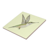 Carreau Colibri (Côté)