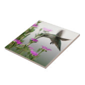 Carreau Colibri (Côté)