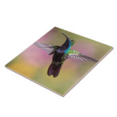 Carreau Colibri (Côté)