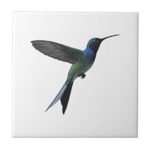 Carreau Colibri