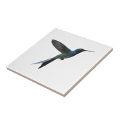 Carreau Colibri (Côté)