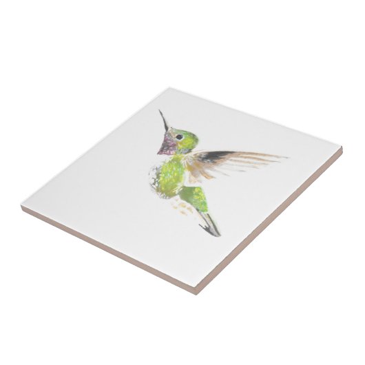 Carreau Colibri (Côté)