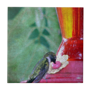 Carreau Colibri à la source
