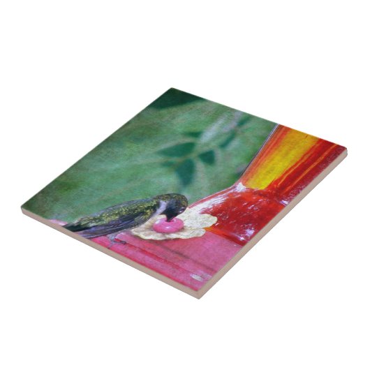 Carreau Colibri à la source (Côté)