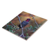 Carreau Colibri au coucher du soleil (Côté)