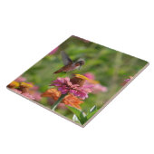 Carreau Colibri avec des Zinnias (Côté)