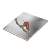 Carreau Colibri collant la langue (Côté)