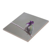 Carreau Colibri de Costa (Côté)