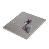 Carreau Colibri de Costa (Côté)