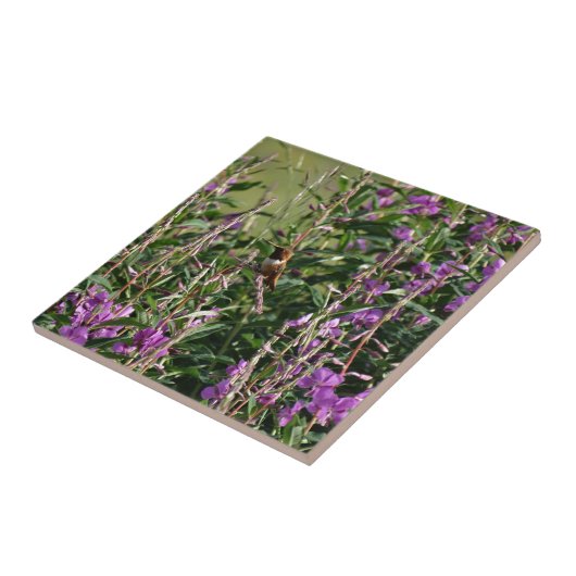 Carreau Colibri en pourpre (Côté)