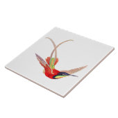 Carreau Colibri en vol (Côté)