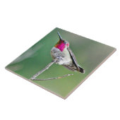 Carreau Colibri été perché (Côté)