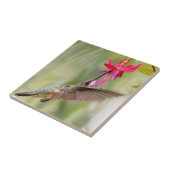 Carreau Colibri favori Fuchsia (Côté)