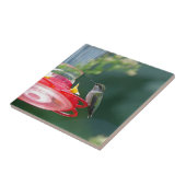 Carreau Colibri perché (Côté)