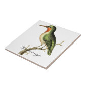 Carreau Colibri Perched Thunder_Cove (Côté)