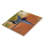 Carreau Colibri planant (Côté)