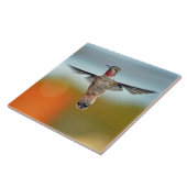 Carreau Colibri planant (Côté)