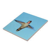 Carreau Colibri planant (Côté)