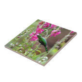 Carreau Colibri se nourrit de nectar (Côté)